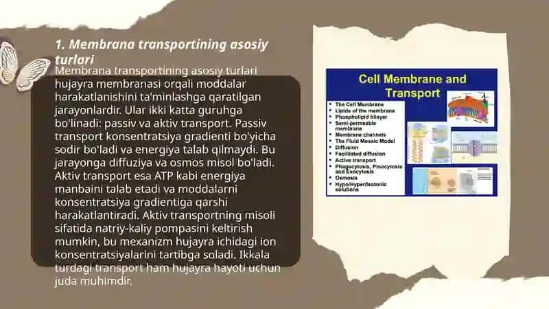 Membrana transporti 3