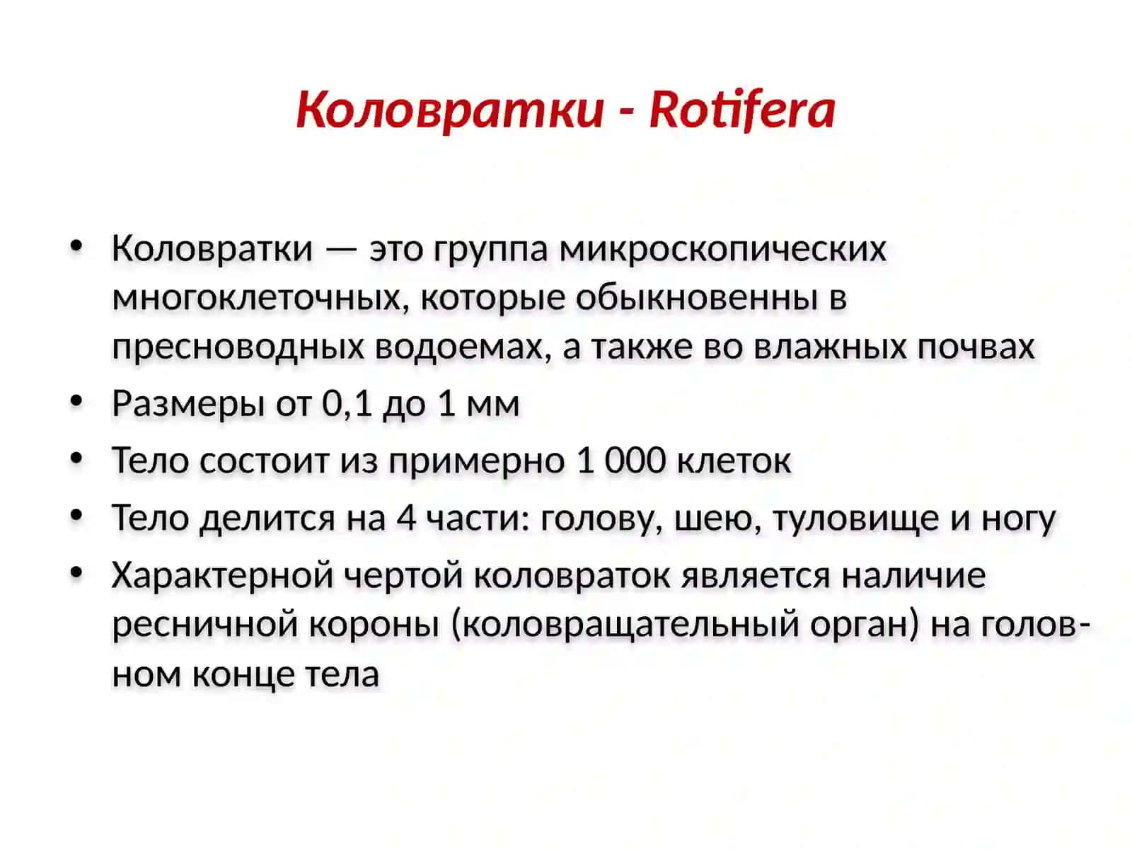 Круглые и кольчатые черви 3