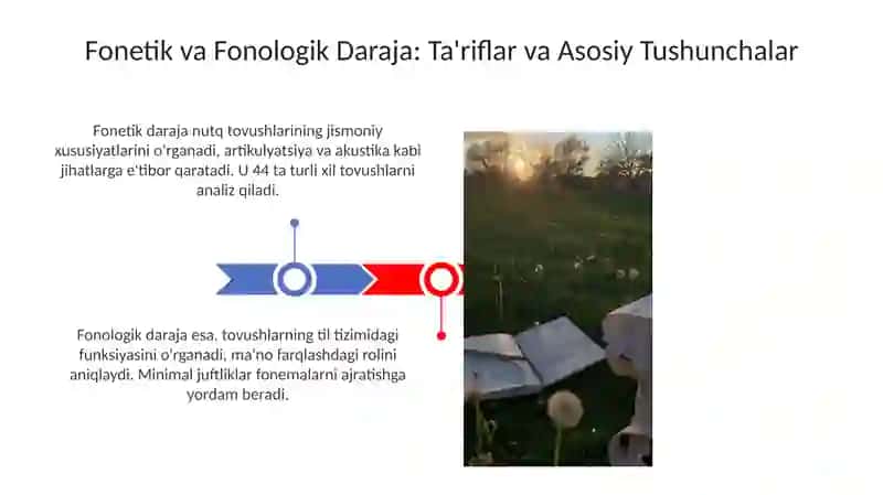 Tilning fonetik-fonologik sathi 3