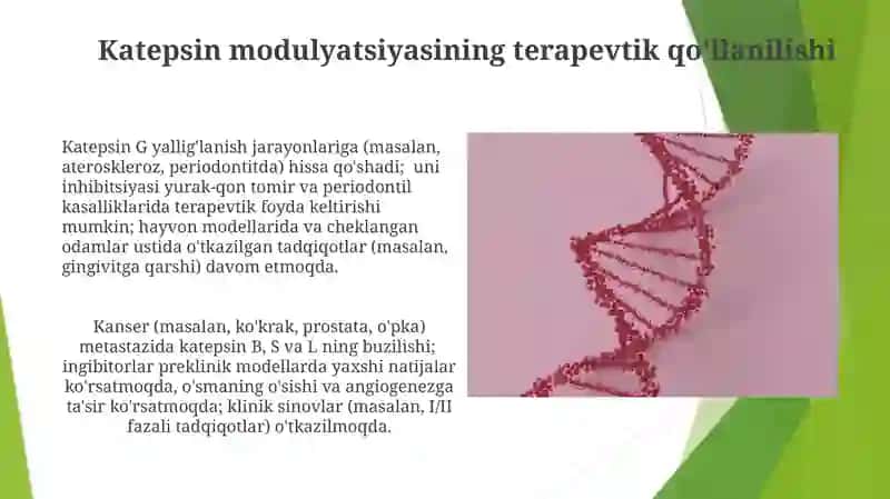 Katepsinlar va ularning klinik ahamiyati 3