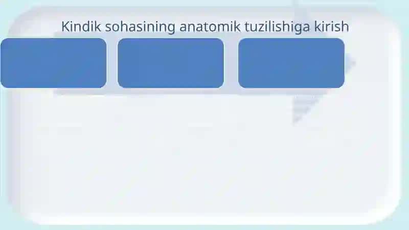 Anatomik bilimlar va jarrohlik amaliyotlari 3