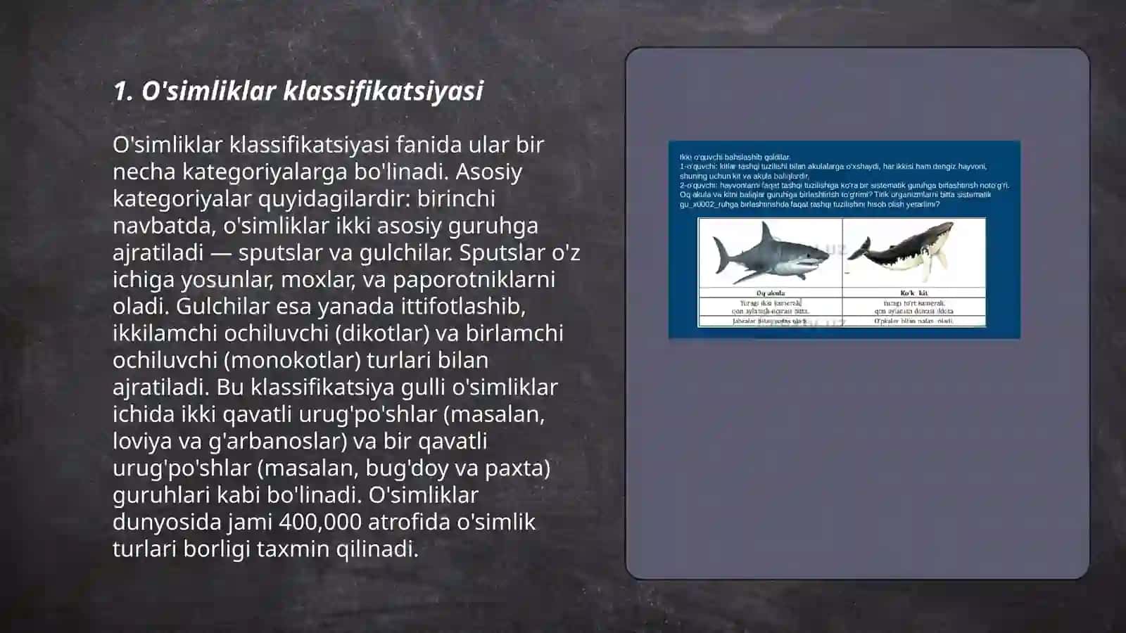 O'simliklar klassifikatsiyasi 3