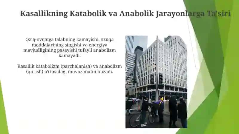 Katabolizm va anabolizm 3