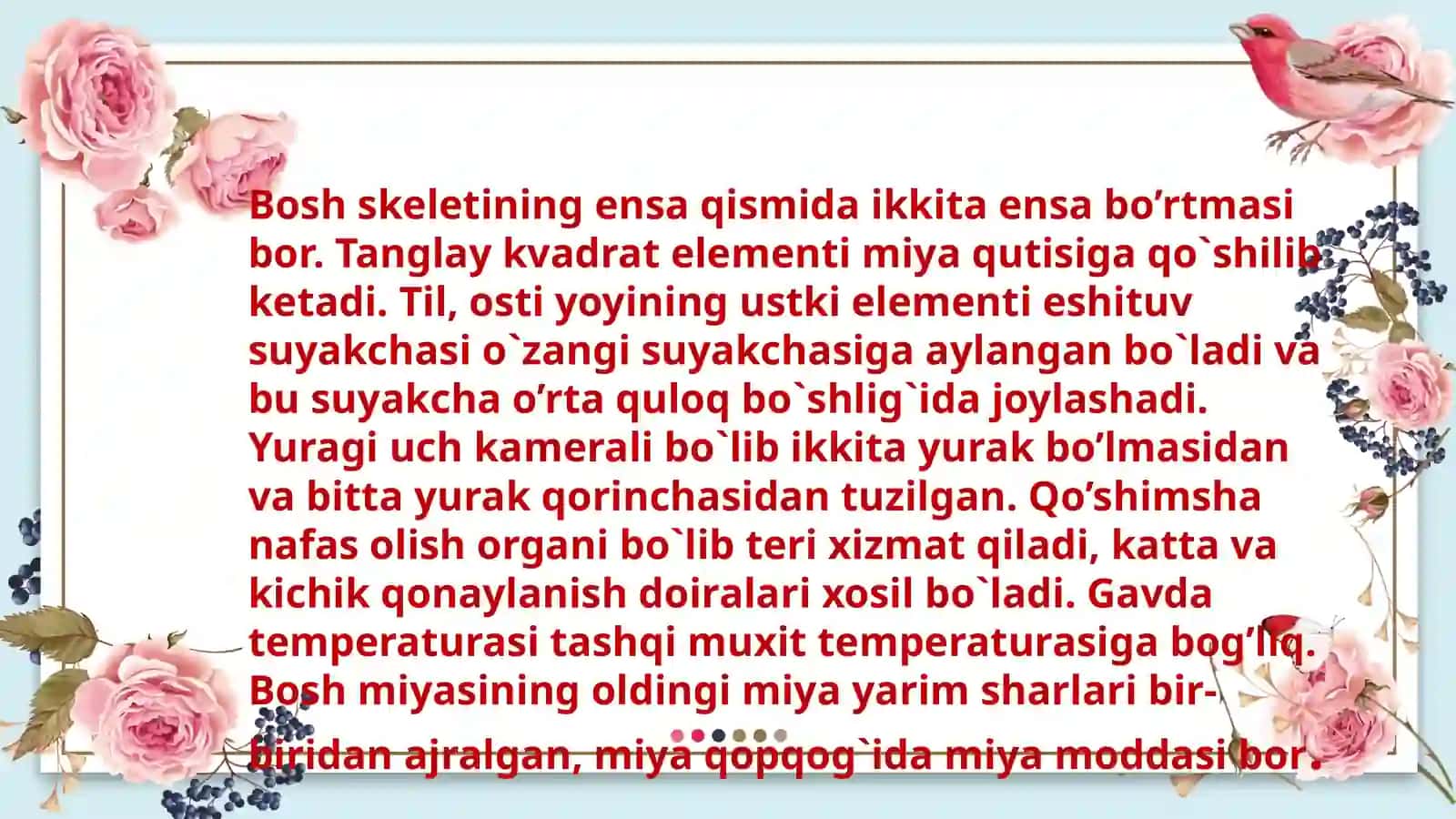 Umurtqali Hayvonlar 3