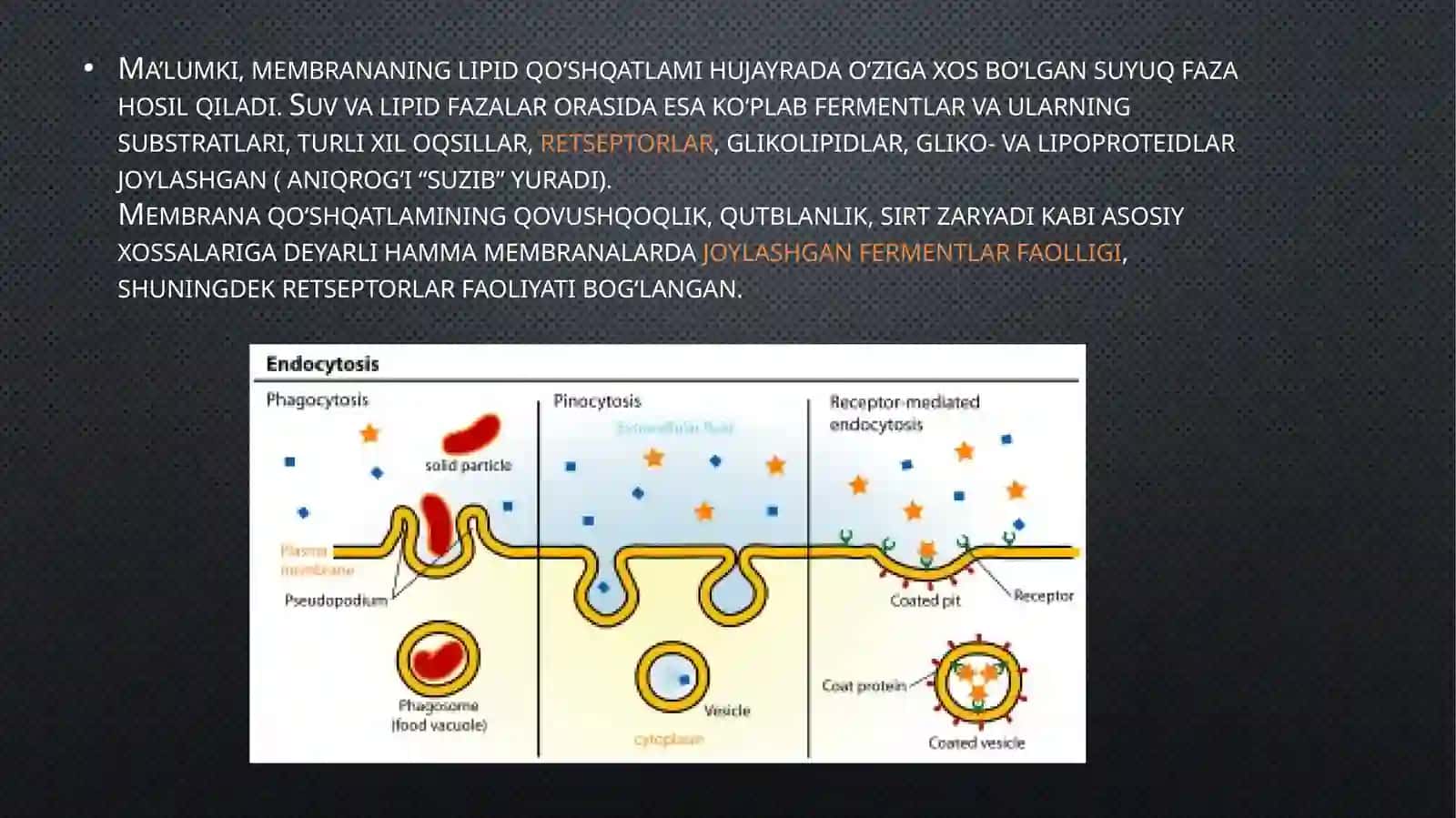 Biologik mebranalar xossalari 3