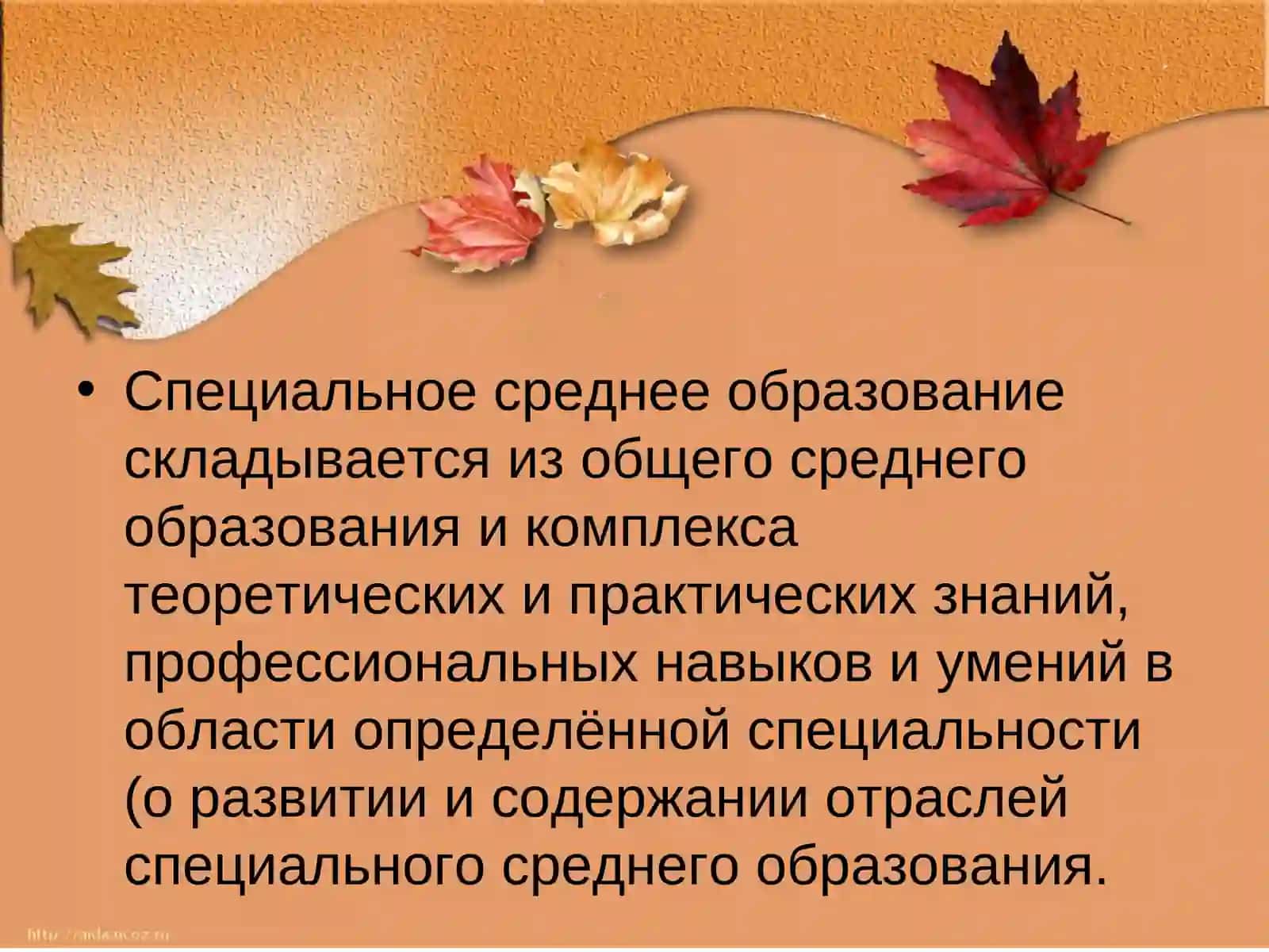 Понятие среднего специального профессионального образования 3