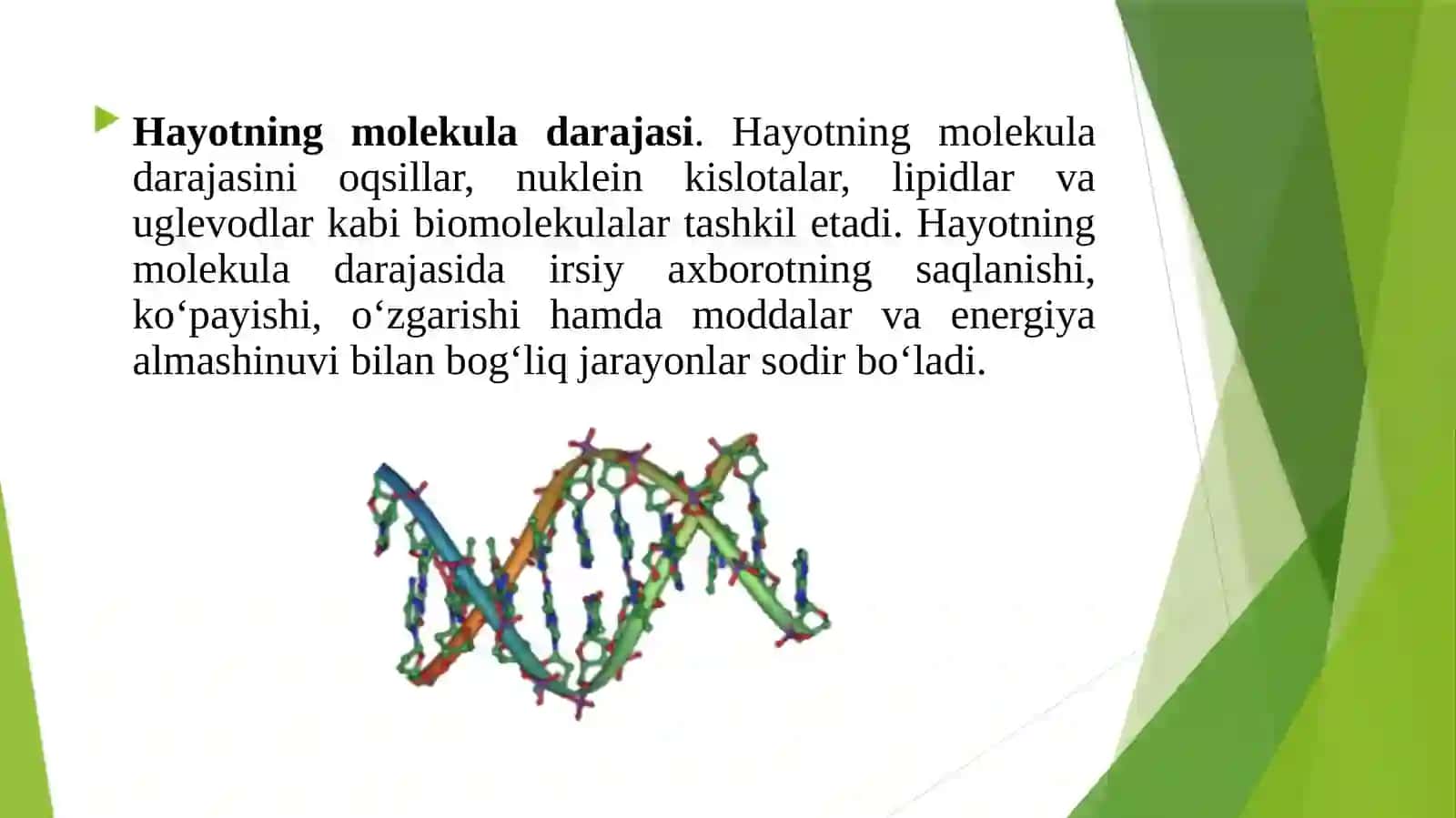 Hayotning tuzilish darajalari 3