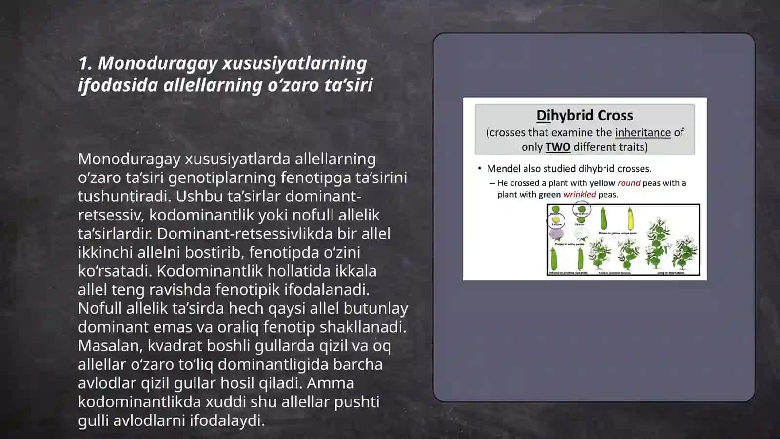 Monoduragay chatishtirish 3