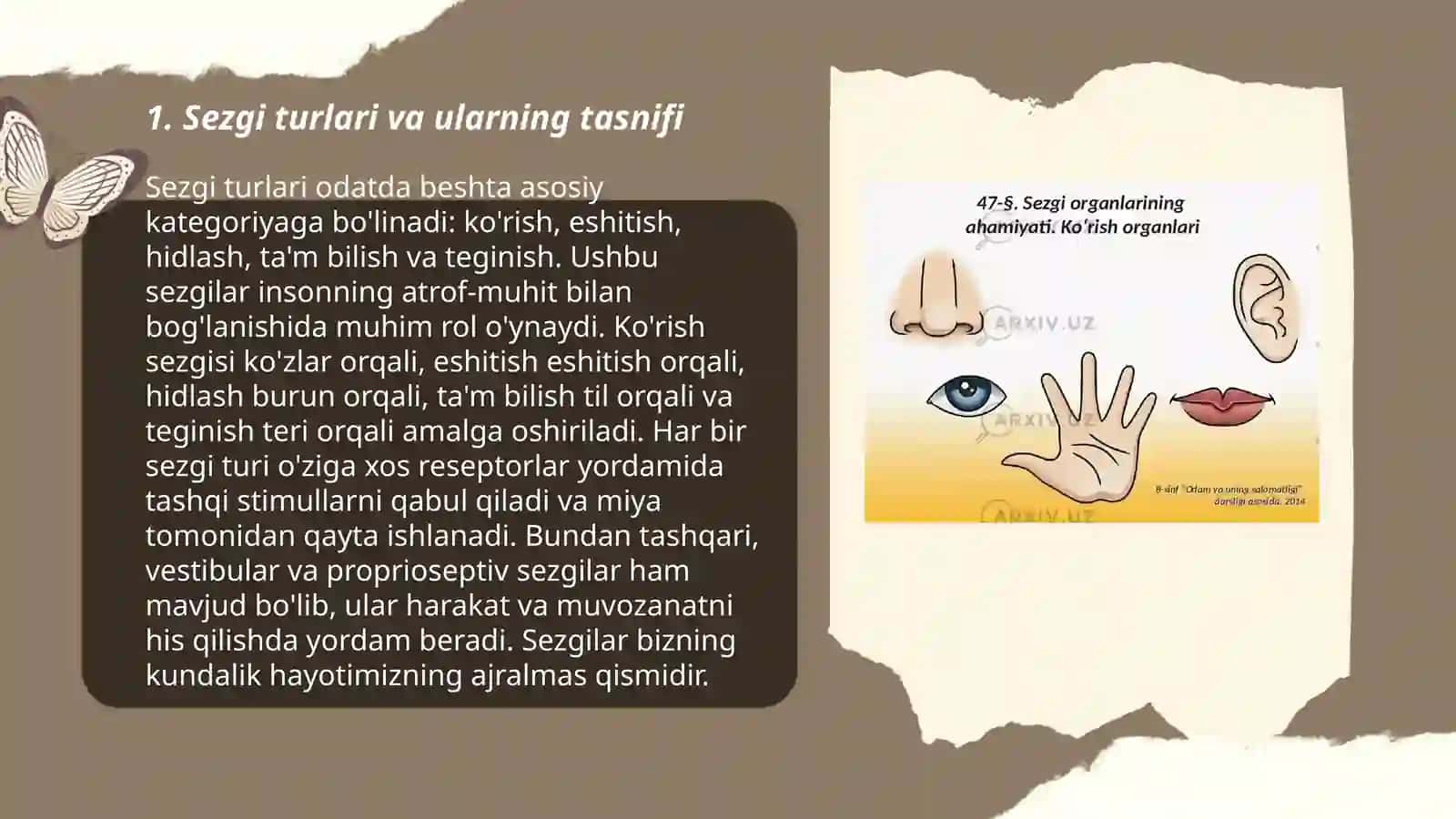 Sezgi turlari 3