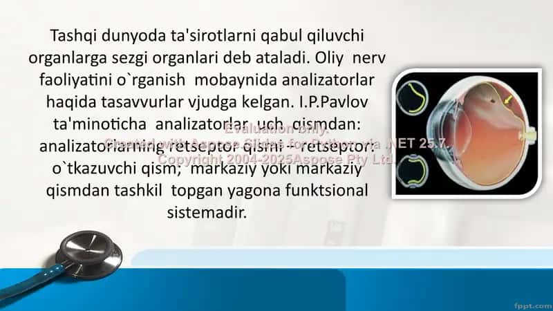 Ko’rish psixofiziologiyasi 3