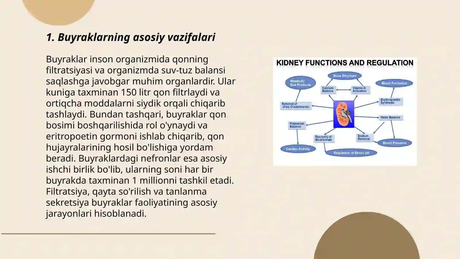 Buyraklarning asosiy vazifalari 3