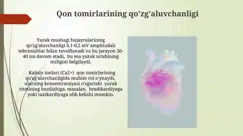 Yurak faoliyatini fizik asoslari 3