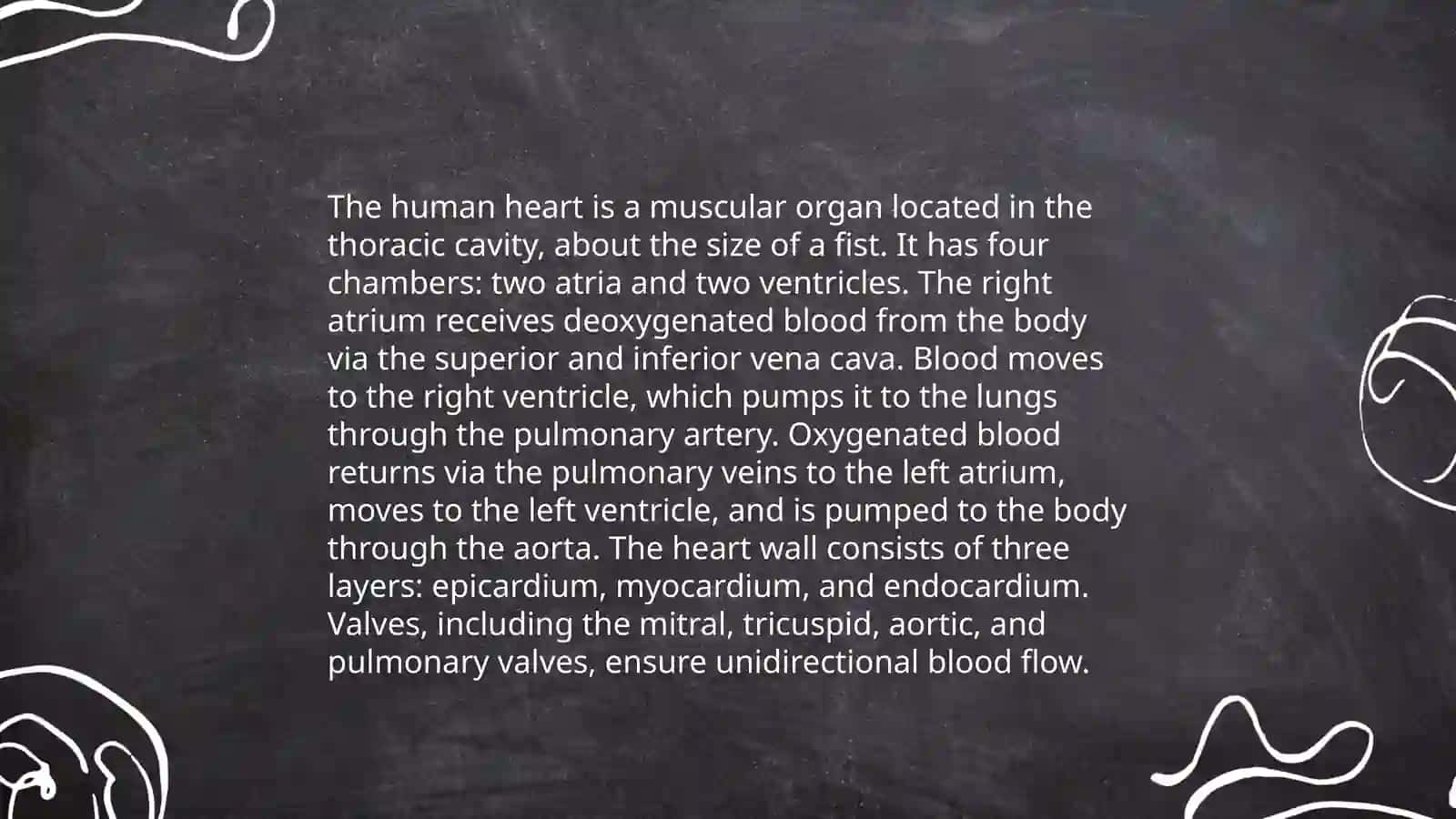The Cardiovascular System 3