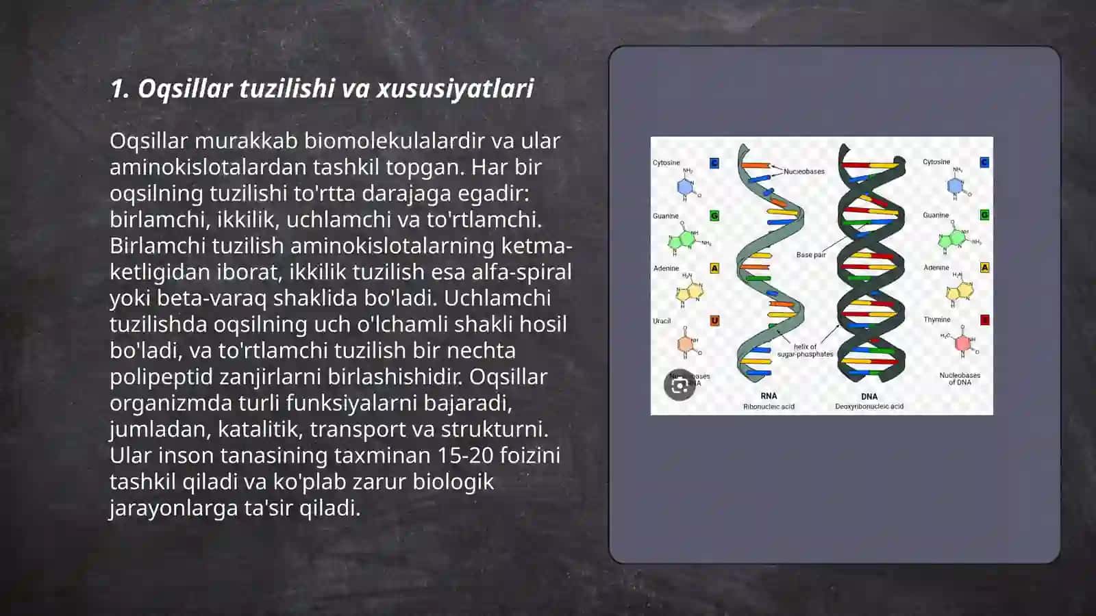 Oqsillar va Nuklein kislotalar 3