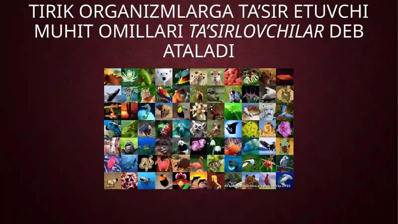 TIRIK ORGANIZMLARNINGTA’SIRLANISHI 3