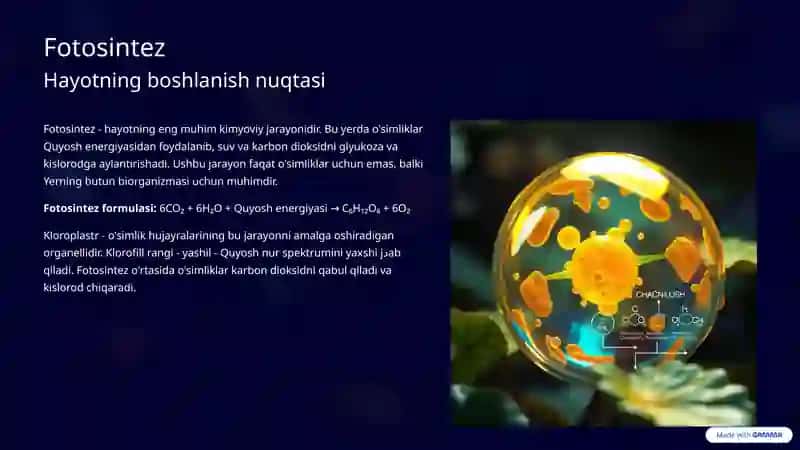 O'simliklar hayoti va yashash muhiti 3