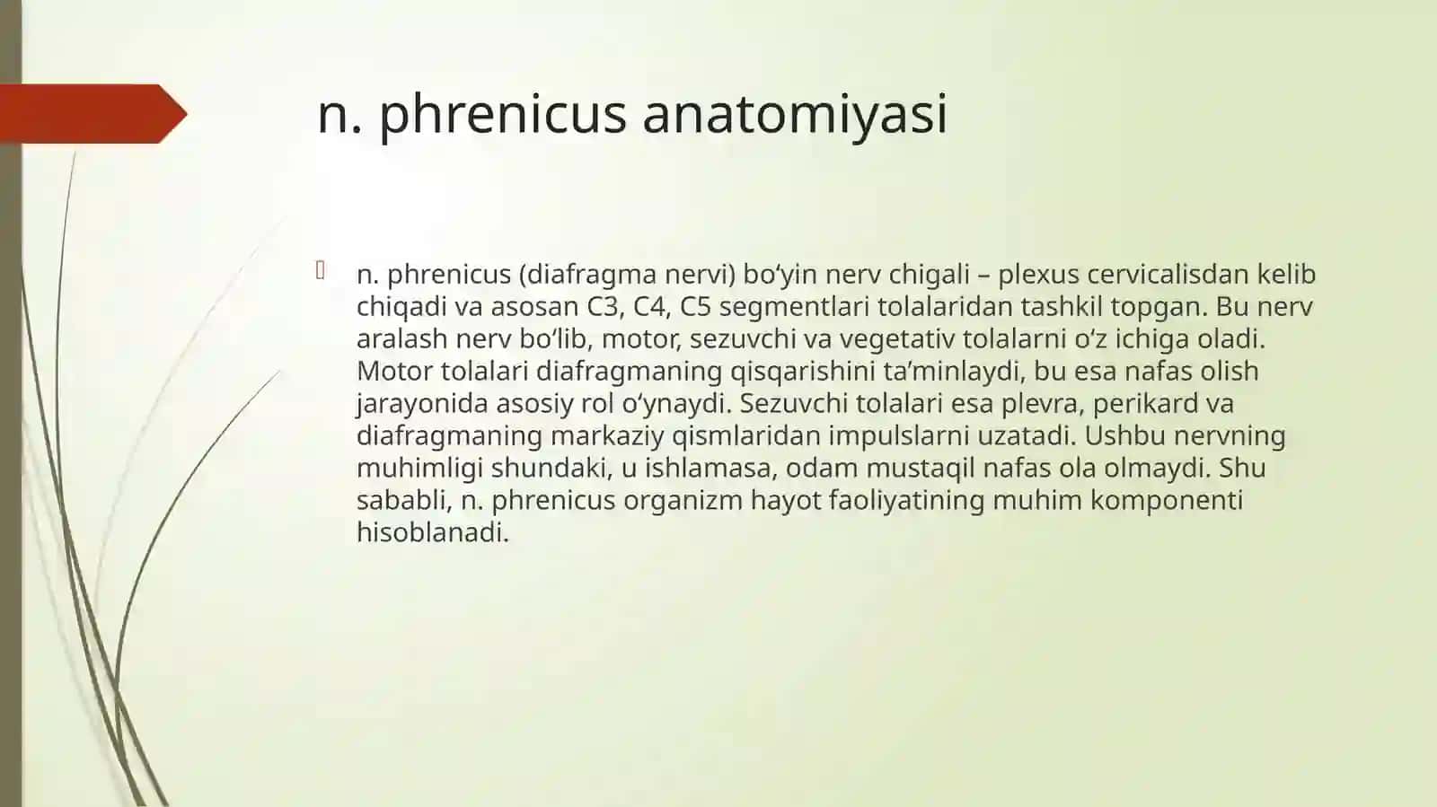 Nervlar(n.phrenicus, n.vagus)topografiyasiO‘tishyo‘li 3