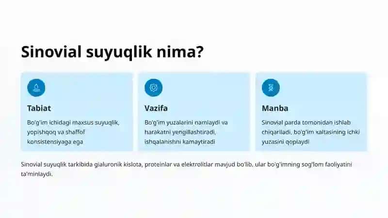 Bo'g'imlar va ularning tuzilishi 3