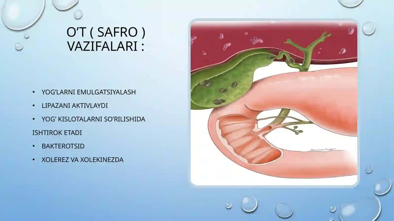O't yo'llari diskneziyasi 3
