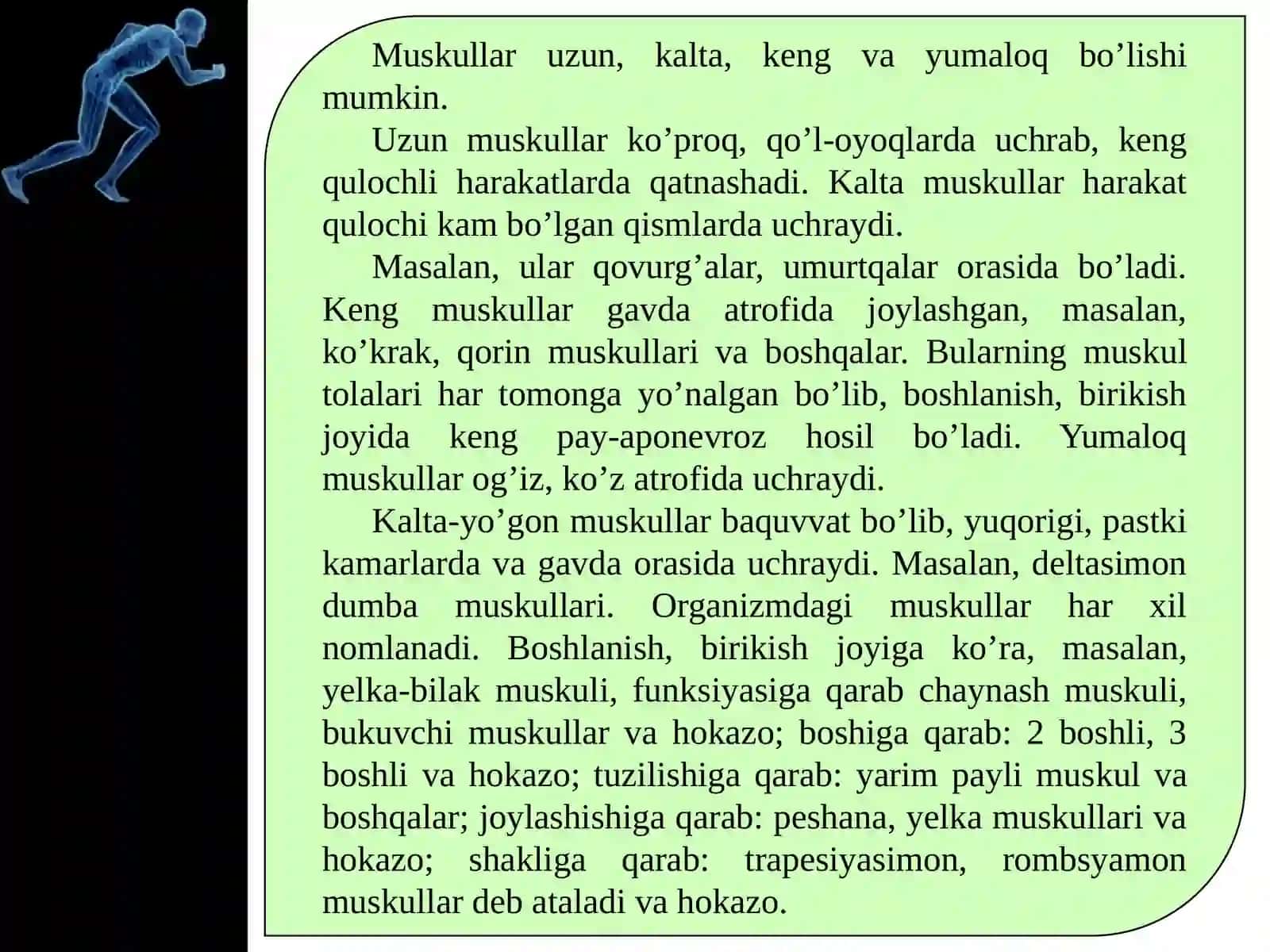 Qo’l va oyoq muskullarining tuzilishi 3
