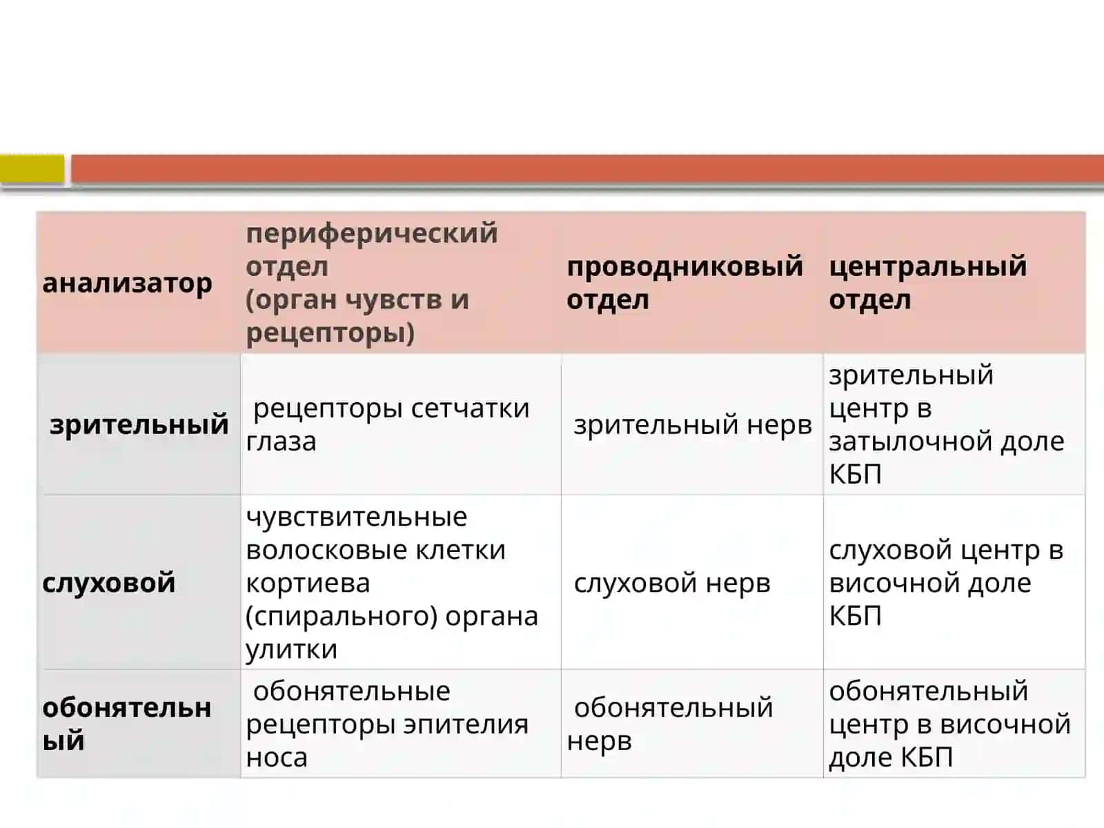 Анализатор 3