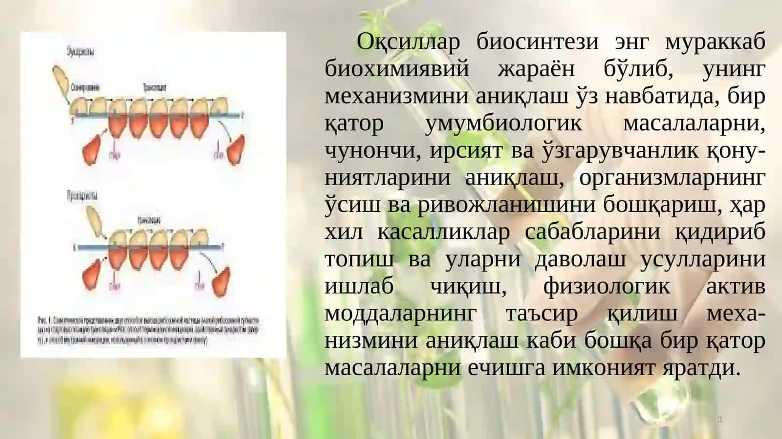 Оқсиллар синтези ва парчаланиши 3