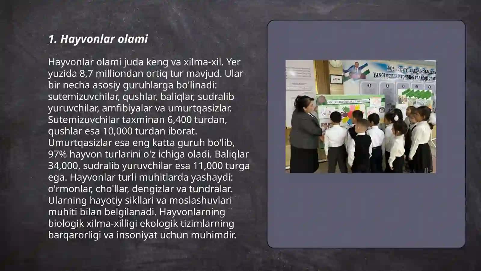 Hayvonlar olami 3
