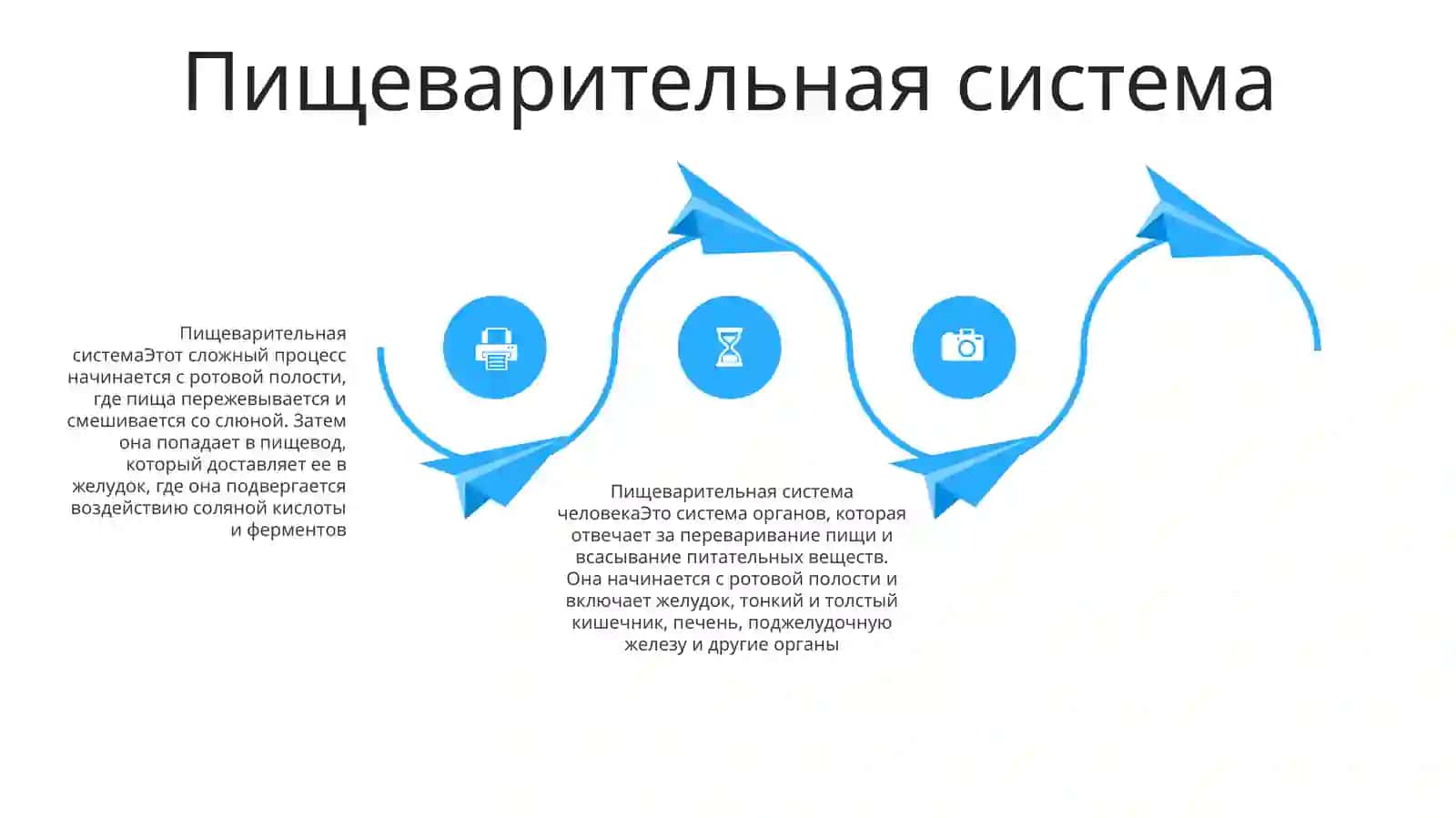 Внутренние органы человека 3
