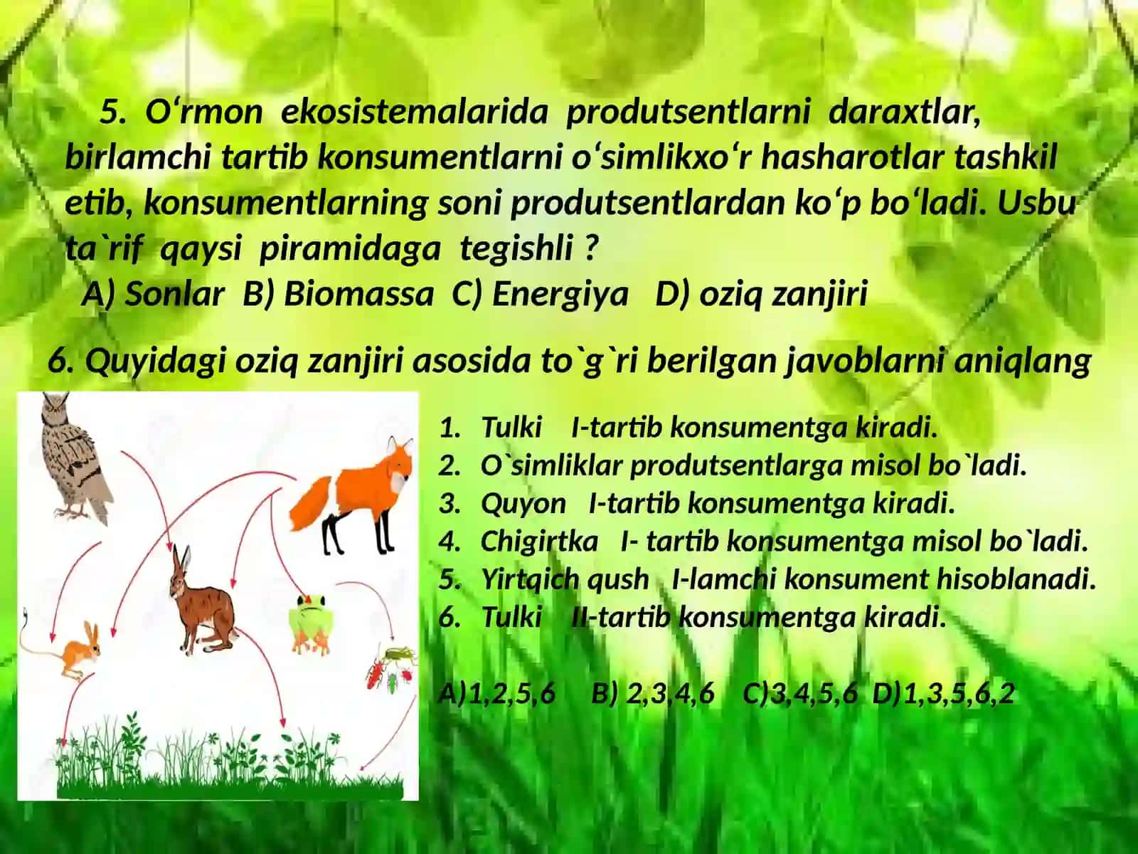 TABIIY EKOSISTEMALAR 3