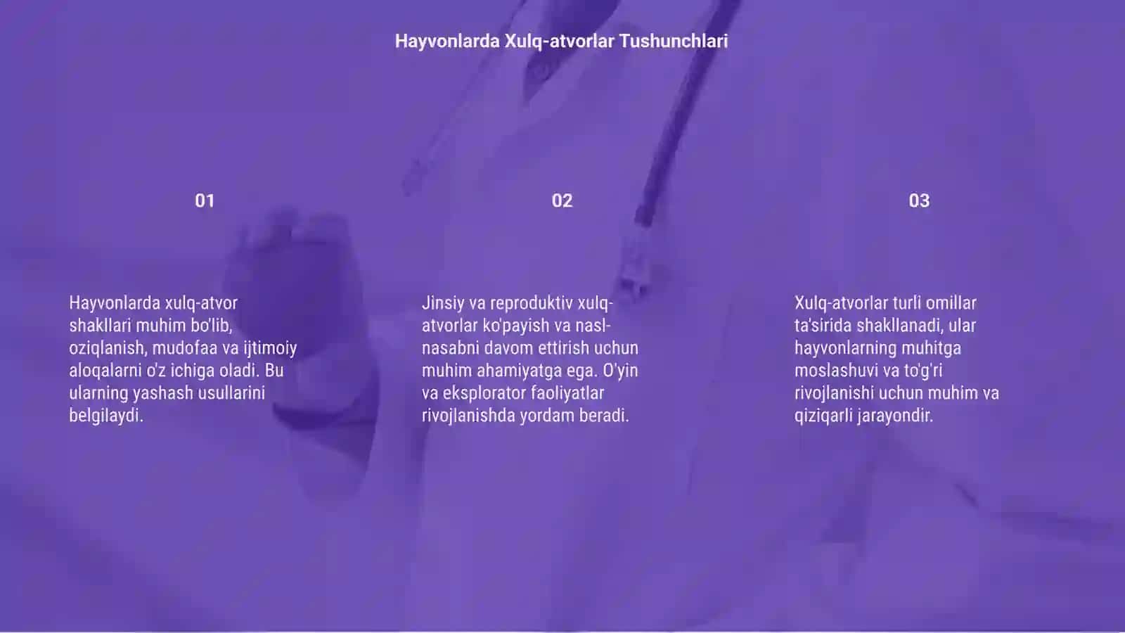Hayvonlarda Xulq-atvorlar Tushunchlari 3