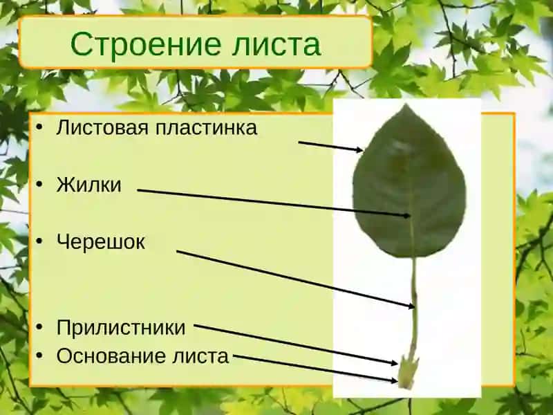 Лист 3