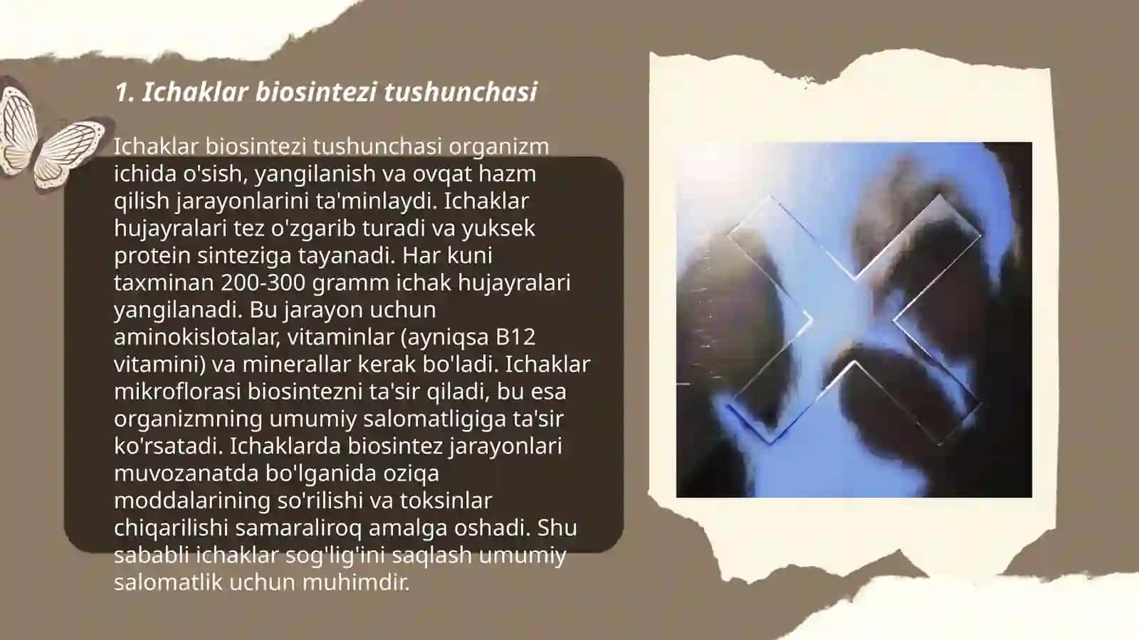 Ichaklar biosintezi haqida tushuncha 3