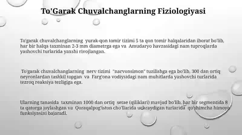 To'garak chuvalchanglar 3