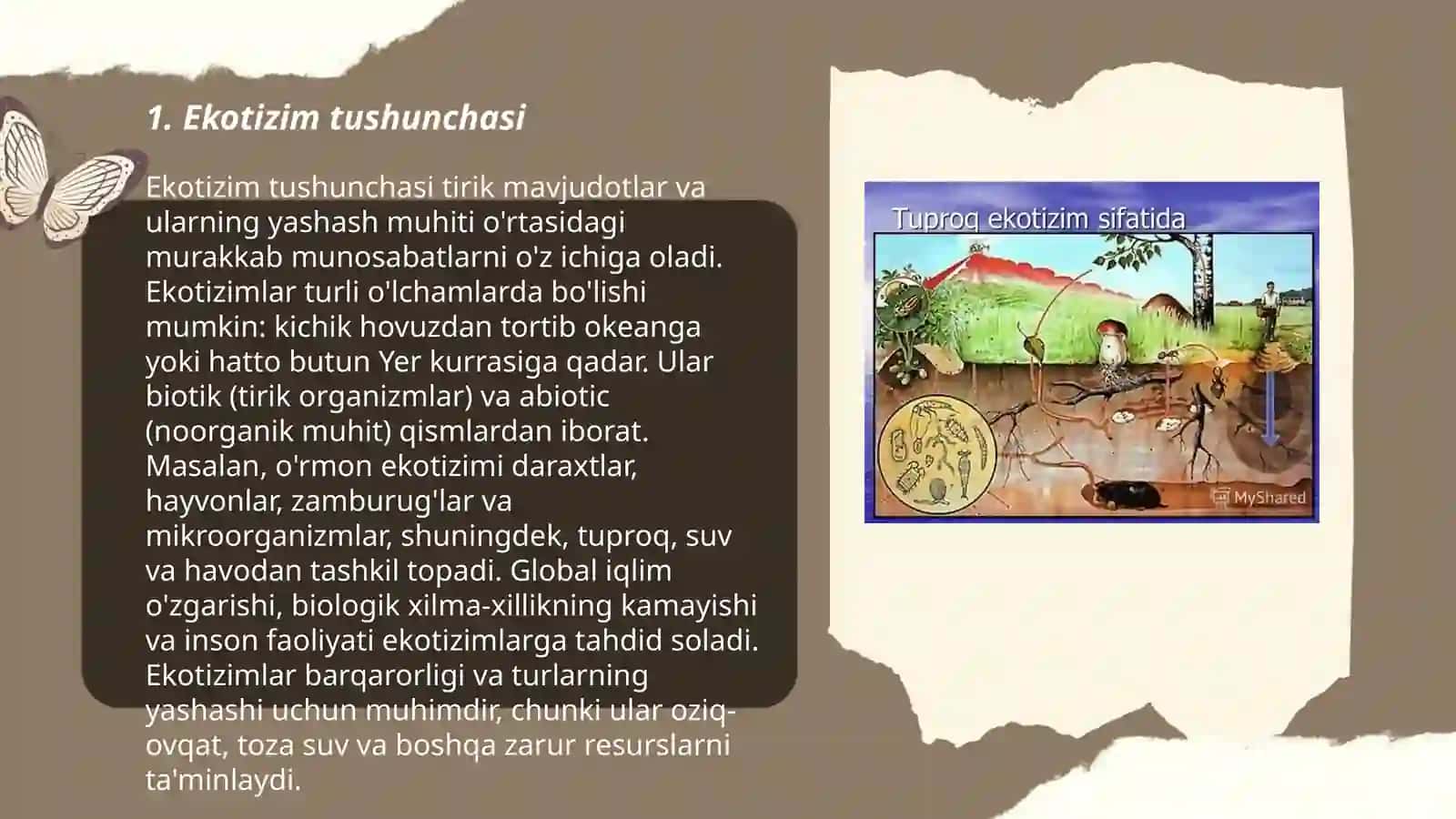 Ekotizim va ularning tasniflanishi 3