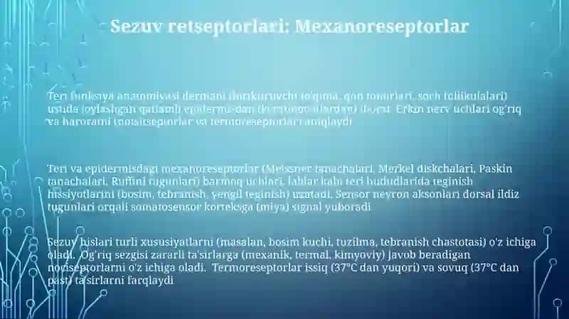 Teri funksiya anatomiyasi 3
