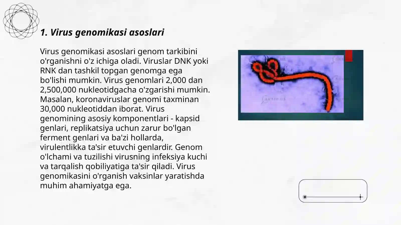 Virus va faglar genomikasi 3