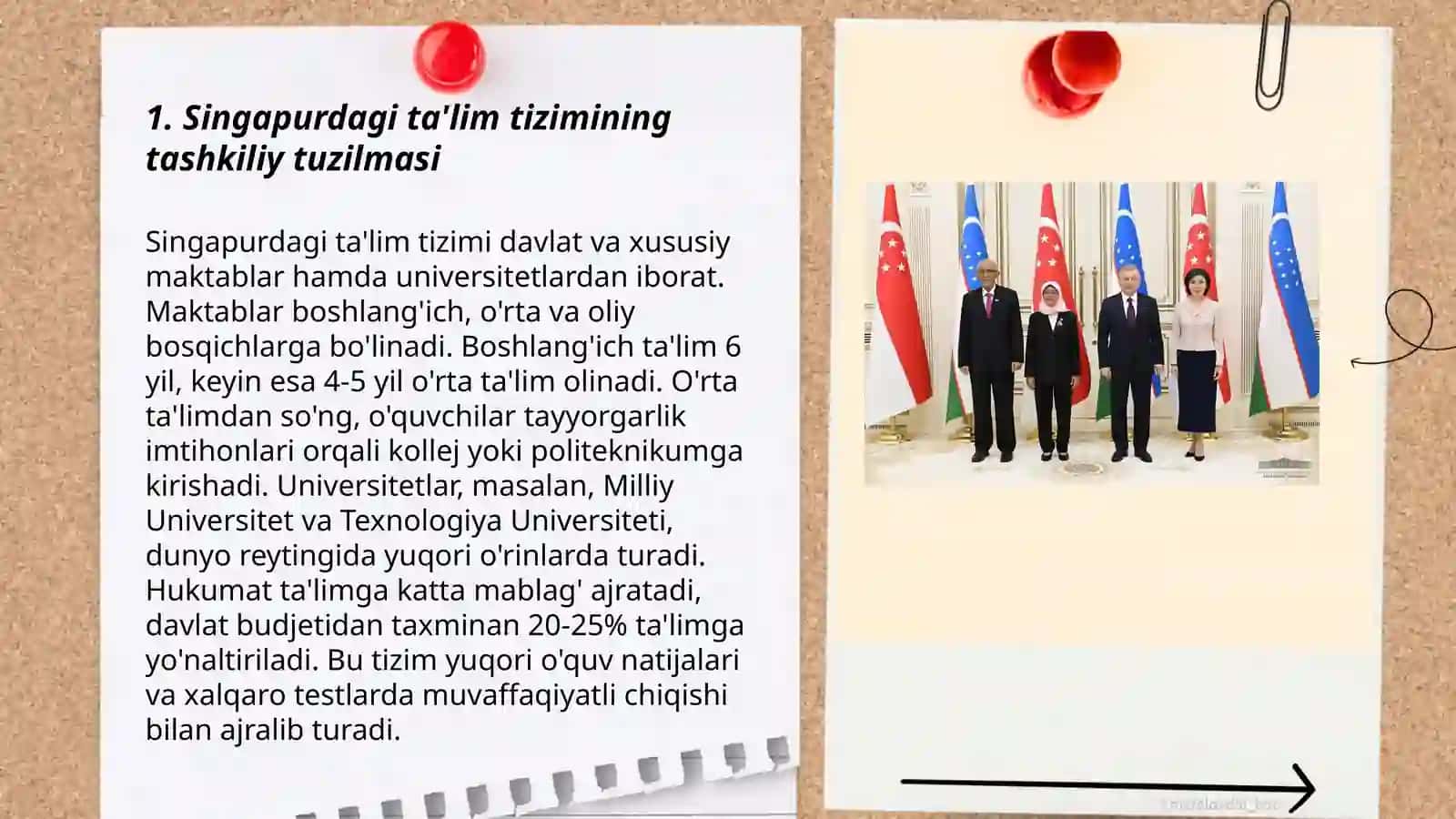 Singapur ta‘lim tizimi 3