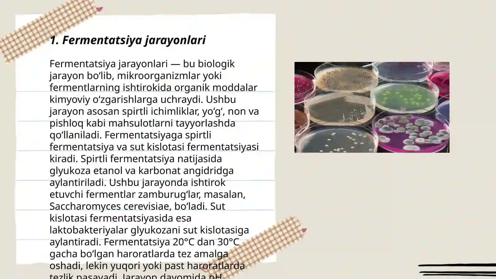 Fermentatsiya jarayonlari 3