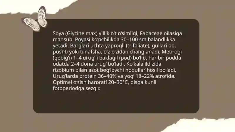 Soya o‘simligini ahamiyati va yetishtirish xusiyatlari 3
