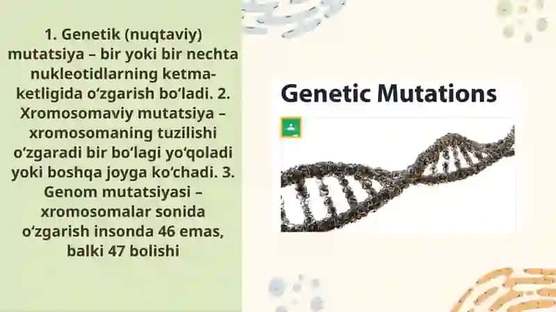 Mutatsiya va uning turlari 3