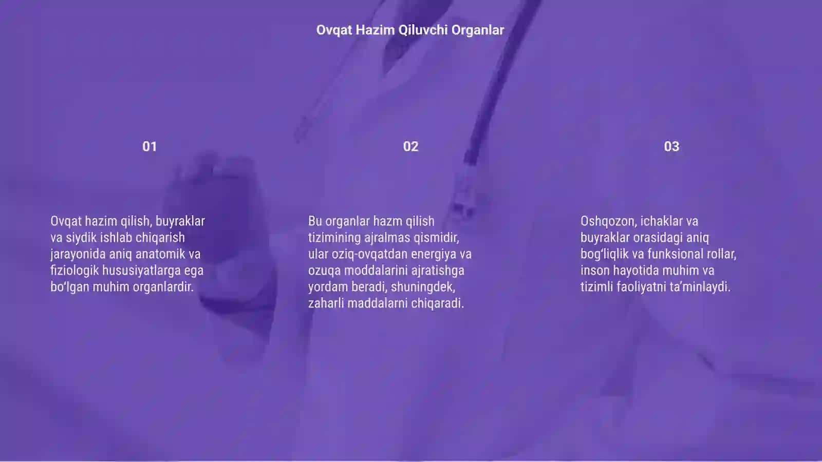Ovqat hazim qilish buyrak siydik 3