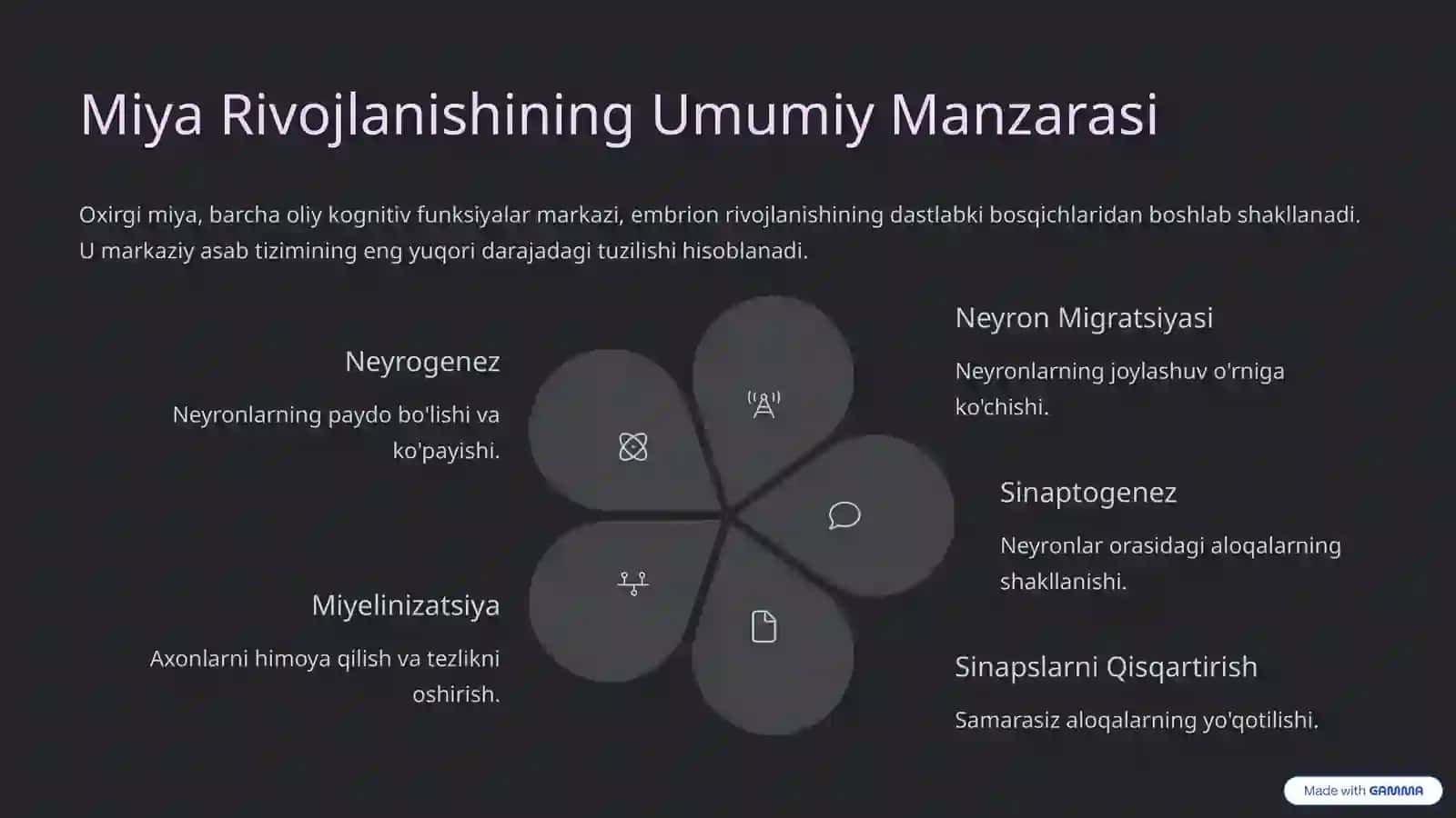 Oxirgi Miya (Telencephalon): Murakkablik va Rivojlanish 3
