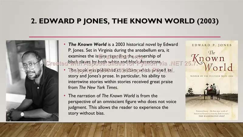 American literature in the 21st century 3