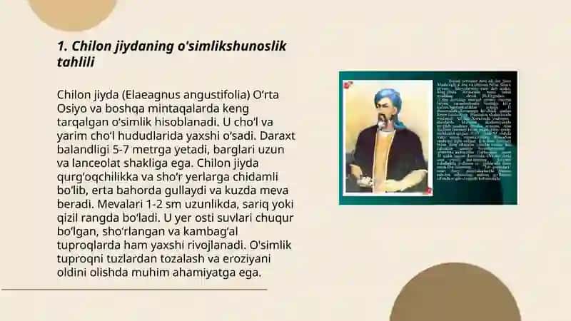 Chilon jiyda haqida ma'lumot 3