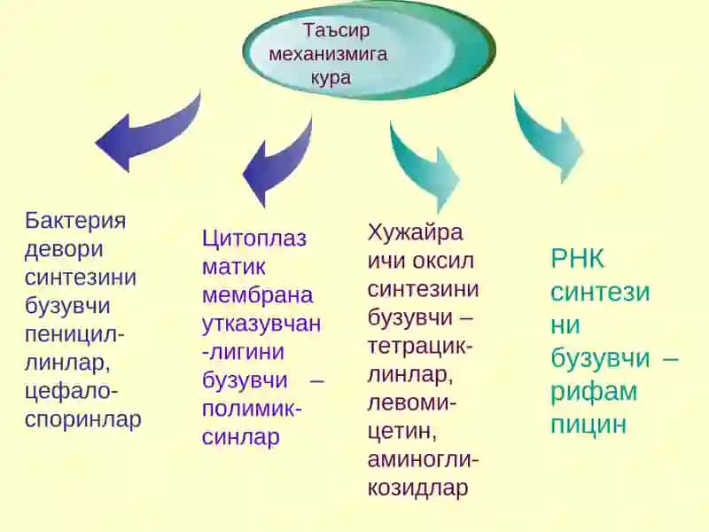 АНТИБИОТИКЛАРНИНГ ФАРМАКОЛОГИЯСИ 3