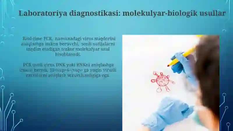 Virusli Kasalliklar Patogenezi 3