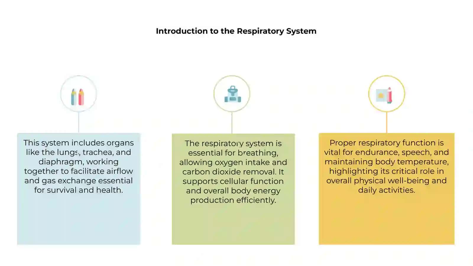Introduction to the Respiratory System 3