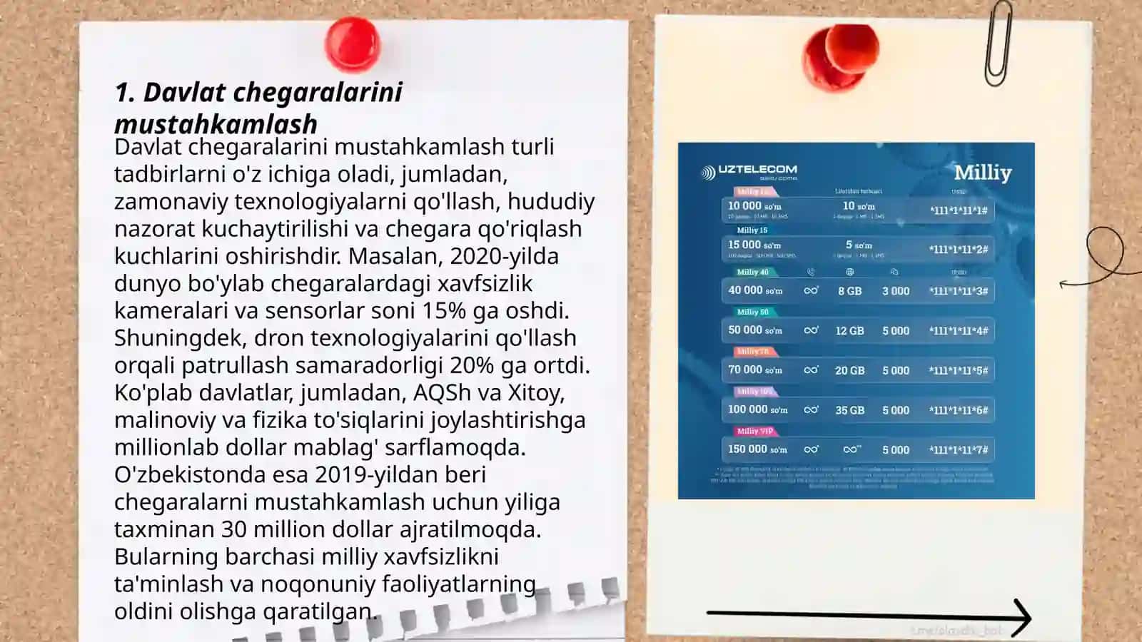 Davlat chegaralarini mustahkamlash 3