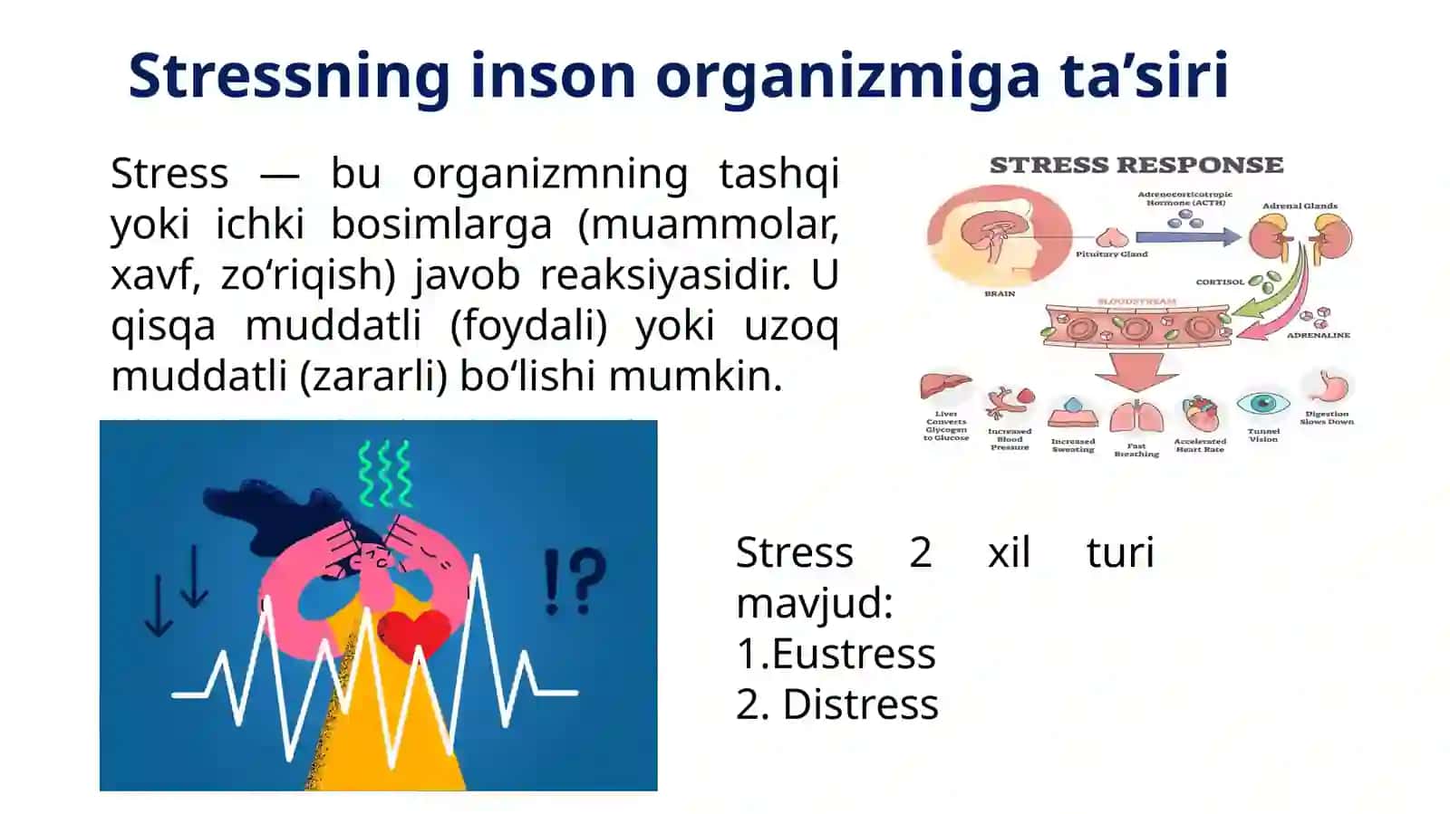 Stressning inson hayotiga ta’siri 3