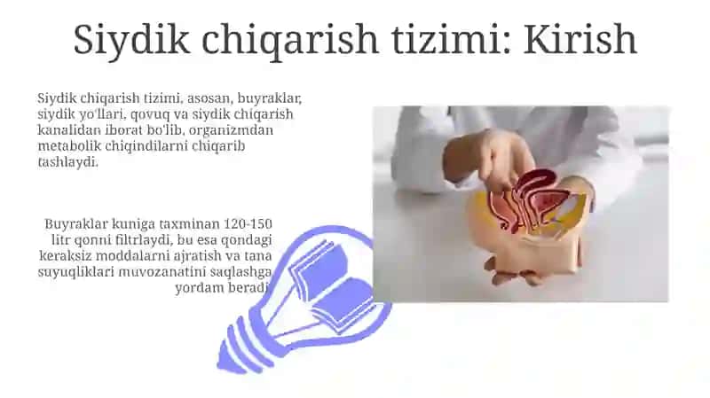 Siydik Ayiruv sistemasi 3